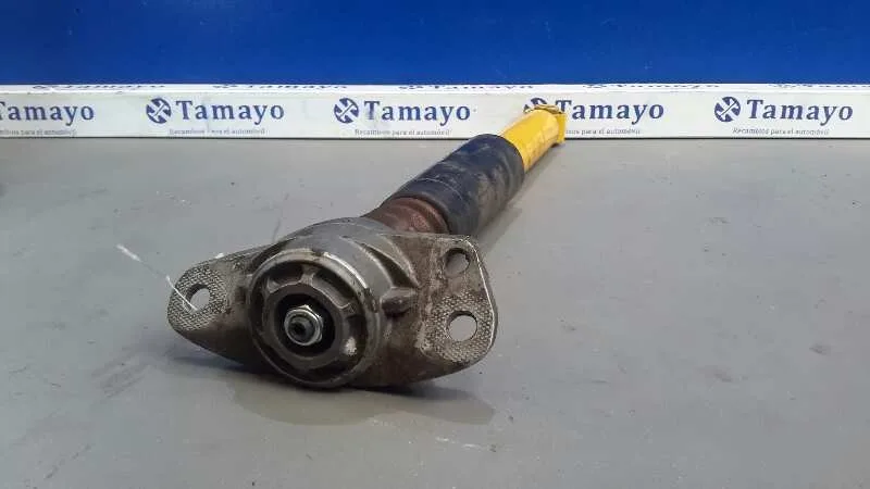 Amortiguador Trasero Derecho para Volkswagen Golf V Berlina (1K1)