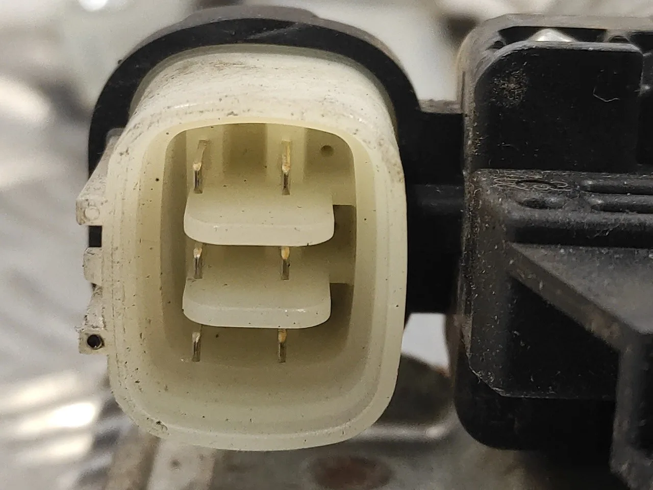 Elevalunas Trasero Izquierdo para Mitsubishi Montero (V80/V90)