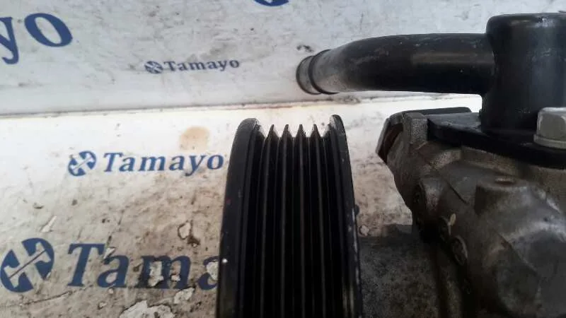 Bomba Servodireccion para Kia Rio