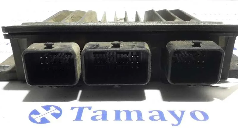Centralita Motor Uce para Renault Scenic Ii