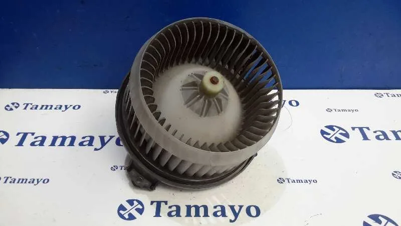 Motor Calefaccion para Toyota Rav 4 (A3)