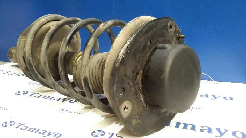 Amortiguador Delantero Derecho para Peugeot 206 Berlina