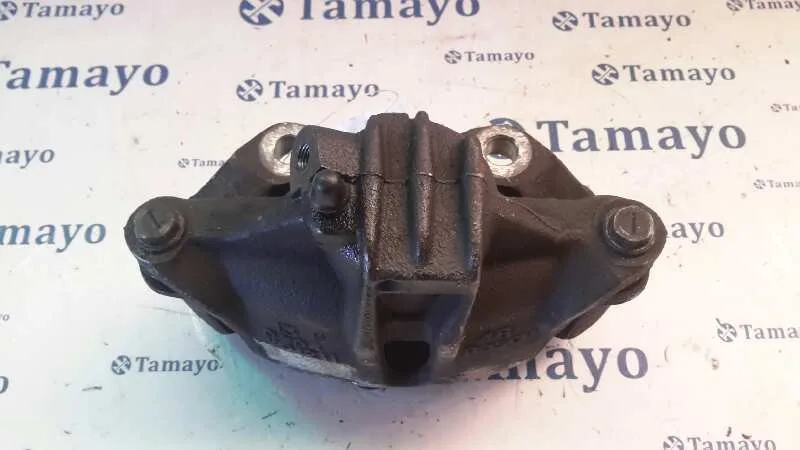 Pinza Freno Delantera Derecha para Peugeot 206+