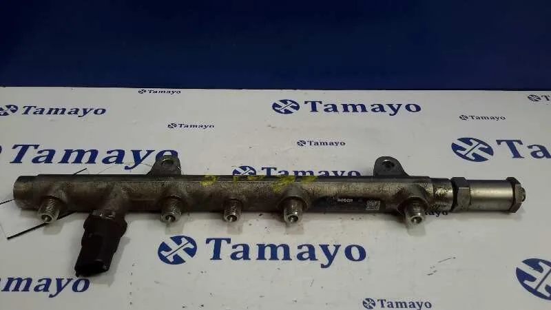Rampa Inyectora para Renault Scenic Ii
