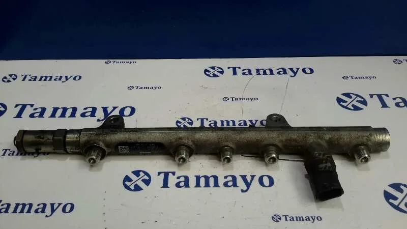 Rampa Inyectora para Renault Scenic Ii