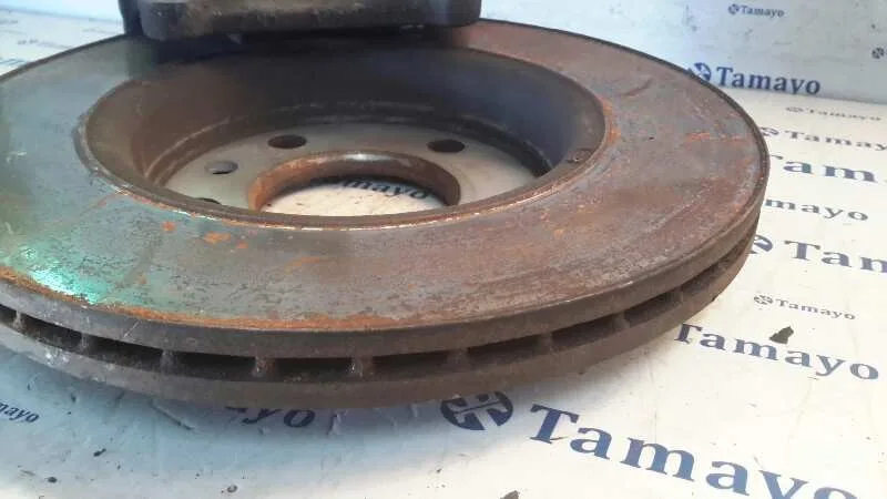 Disco Freno Trasero para Volkswagen T5 Transporter/Furgoneta