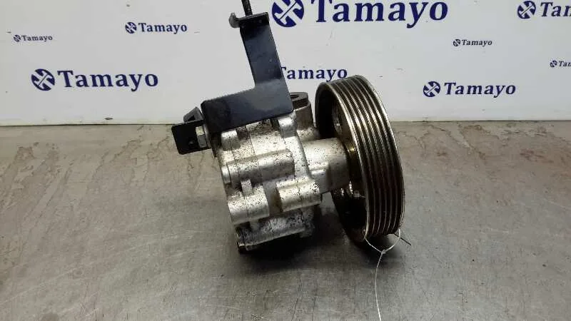 Bomba Servodireccion para Fiat Scudo (222)