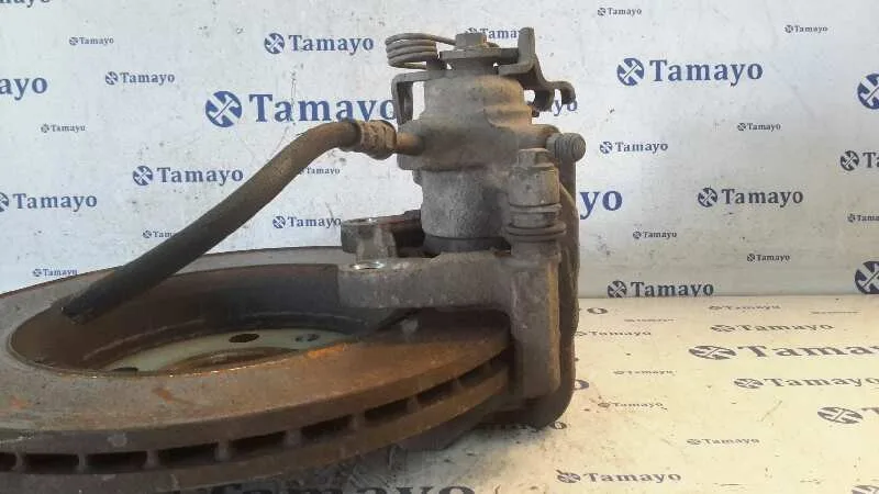 Pinza Freno Trasera Derecha para Volkswagen T5 Transporter/Furgoneta