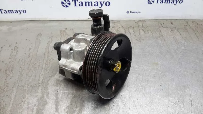 Bomba Servodireccion para Hyundai Accent (Lc)