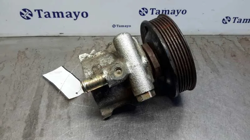 Bomba Servodireccion para Seat Ibiza (6K1)