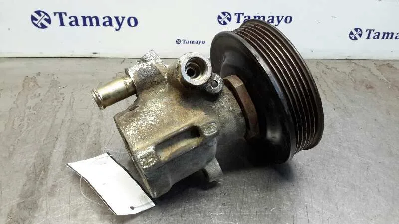 Bomba Servodireccion para Seat Ibiza (6K1)