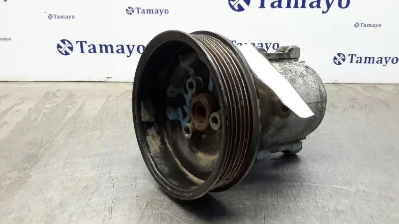 Bomba Servodireccion para Seat Ibiza (6K1)