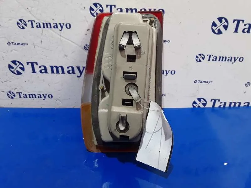 Piloto Trasero Derecho para Ford Fiesta Berl./Express