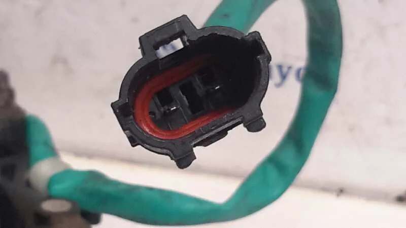 Elevalunas Trasero Izquierdo para Kia Carens