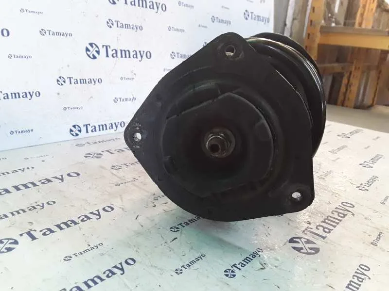Amortiguador Delantero Izquierdo para Nissan Qashqai (J10)
