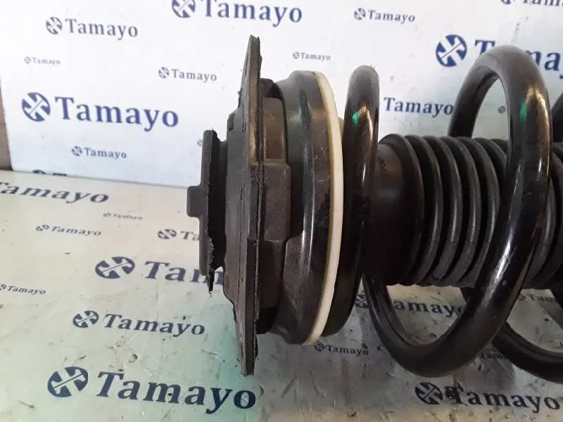 Amortiguador Delantero Izquierdo para Nissan Qashqai (J10)