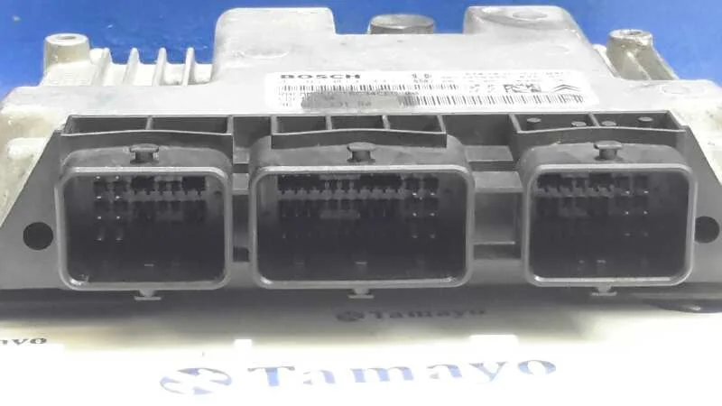 Centralita Motor Uce para Peugeot 307 Break/Sw (S2)