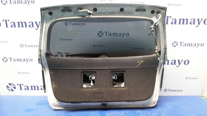 Porton Trasero para Toyota Avensis Wagon (T25)