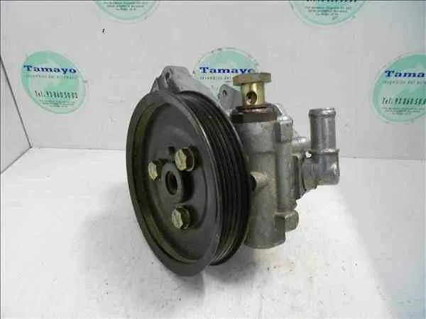 Bomba Servodireccion para Land Rover Freelander (Ln)