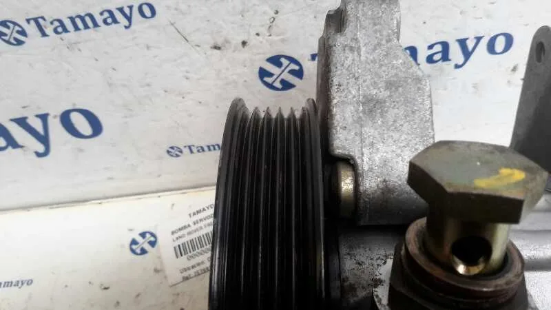 Bomba Servodireccion para Land Rover Freelander (Ln)