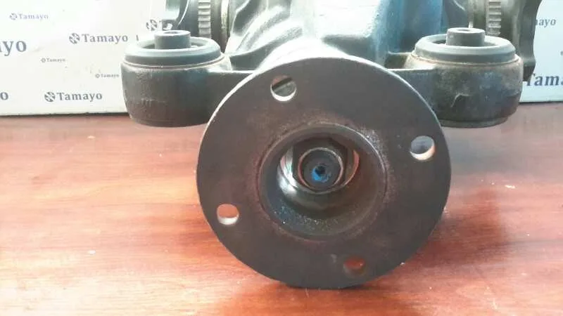 Diferencial Trasero para Nissan Pathfinder (R51)