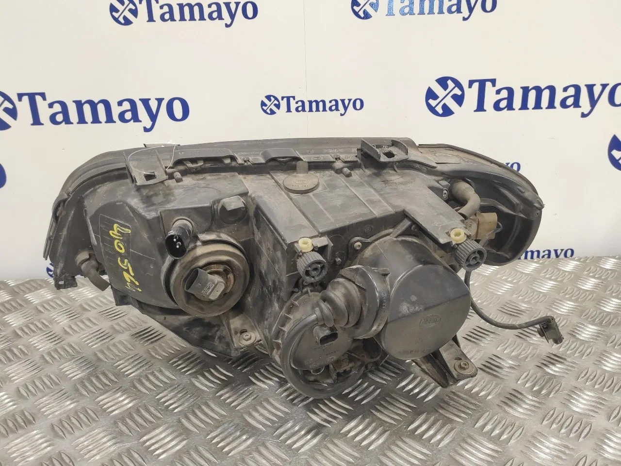 Faro Derecho para Bmw X5 (E53)