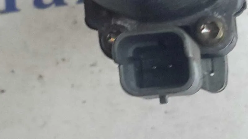 Elevalunas Trasero Derecho para Citroën Xsara Berlina