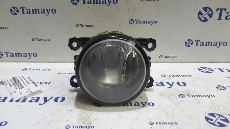Faro Antiniebla Derecho para Renault Scenic Ii
