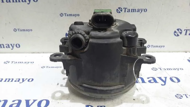 Faro Antiniebla Derecho para Renault Scenic Ii