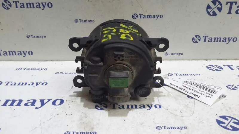 Faro Antiniebla Derecho para Renault Scenic Ii