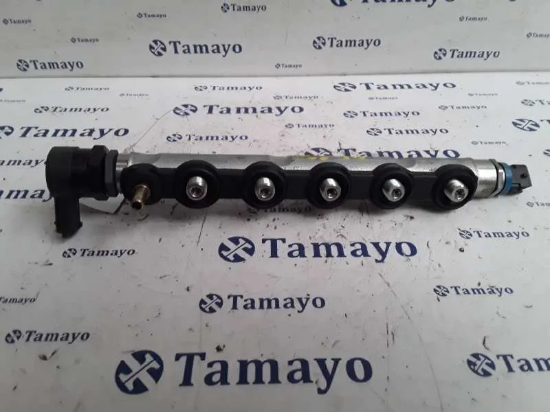 Rampa Inyectora para Renault Espace Iv (Jk0)