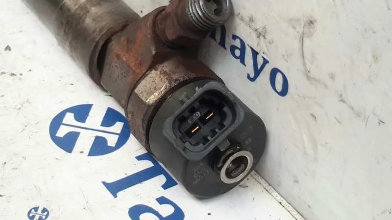 Inyector para Bmw Serie 5 Berlina (E39)