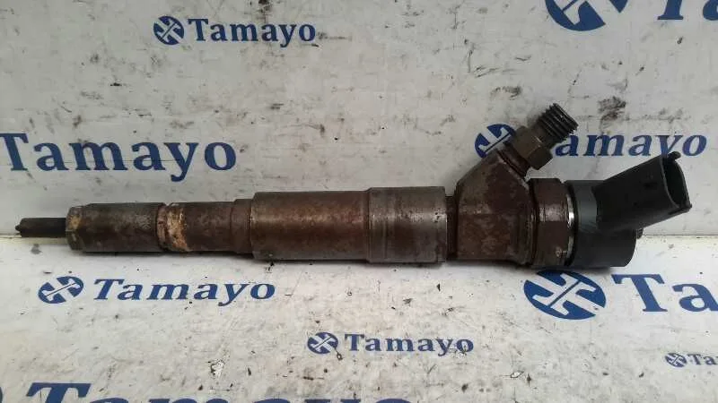 Inyector para Bmw Serie 5 Berlina (E39)