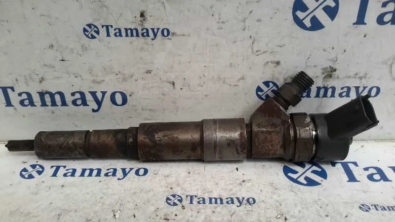 Inyector para Bmw Serie 5 Berlina (E39)