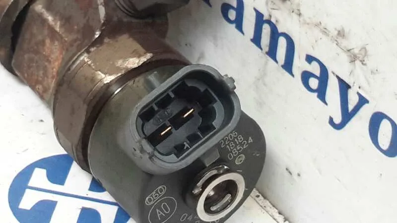 Inyector para Bmw Serie 5 Berlina (E39)