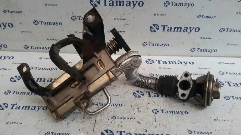Enfriador Gases para Mazda 6 Berlina (Gg)