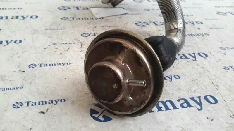 Enfriador Gases para Mazda 6 Berlina (Gg)
