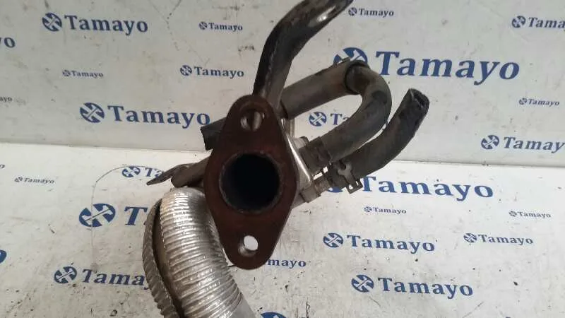 Enfriador Gases para Mazda 6 Berlina (Gg)