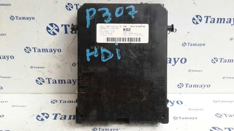Caja Reles / Fusibles para Peugeot 307 (S1)