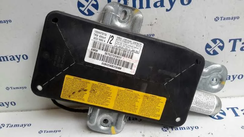 Airbag Lateral Delantero Izquierdo para Bmw X5 (E53)