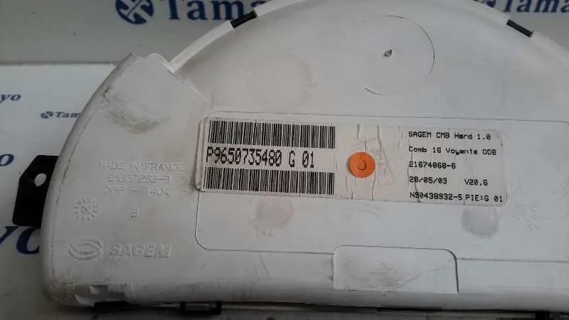 Cuadro Instrumentos para Citroën C2