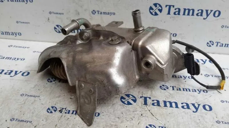 Enfriador Gases para Nissan Qashqai (J10)