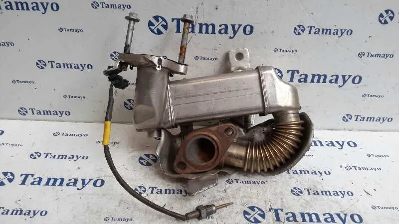 Enfriador Gases para Nissan Qashqai (J10)