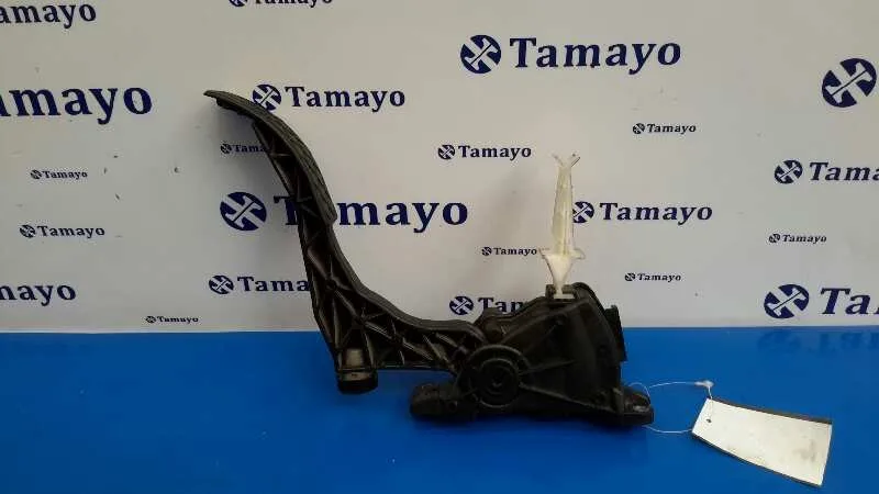 Potenciometro Pedal para Volkswagen New Beetle (9C1/1C1)