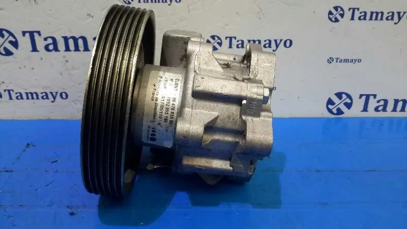 Bomba Direccion para Fiat Ulysse (179)