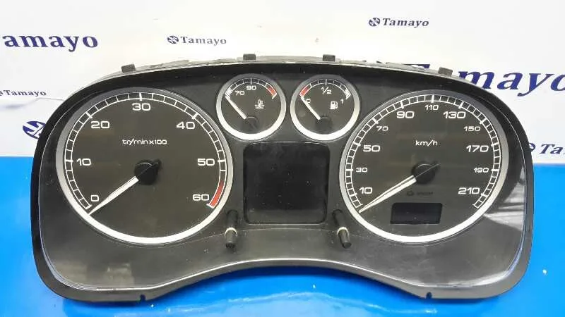 Cuadro Instrumentos para Peugeot 307 Break / Sw (S1)