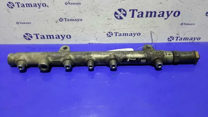 Rampa Inyectora para Renault Megane Ii Berlina 5P