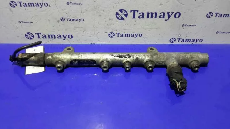Rampa Inyectora para Renault Scenic Ii