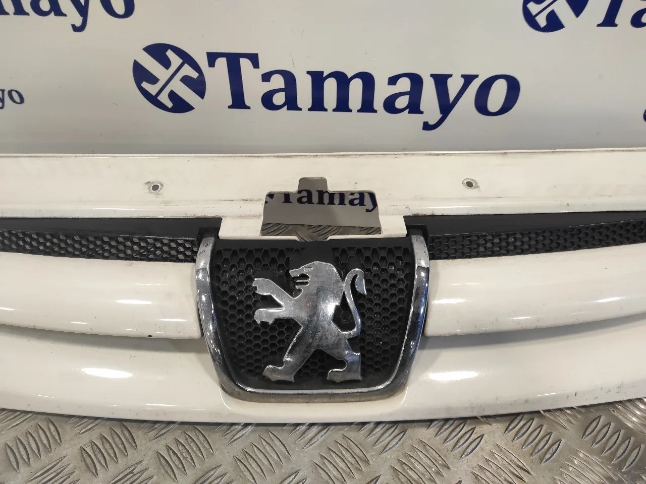 Rejilla Delantera para Peugeot Partner (S2)