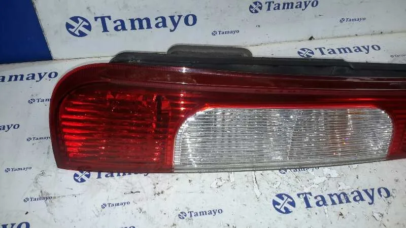Piloto Trasero Izquierdo para Ford Focus C-Max (Cap)